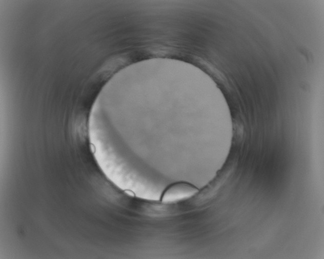 X0000113110479200910091203