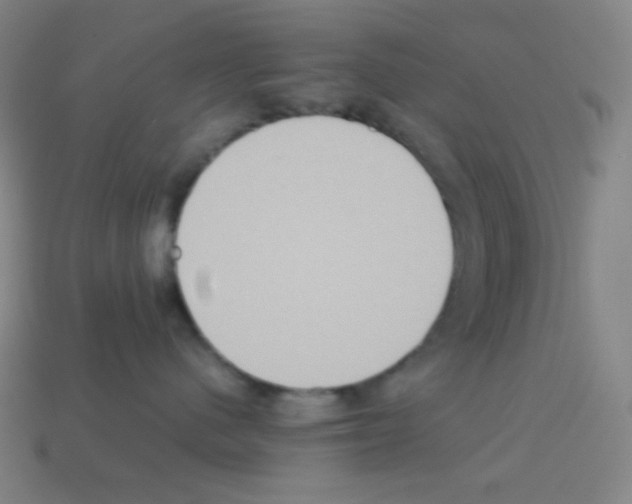 X0000113110480200910091203