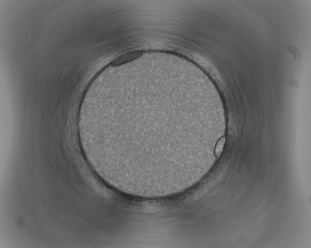 X0000113110481200910091202