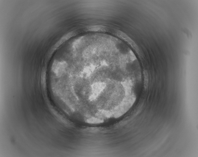 X0000113110482200910091202