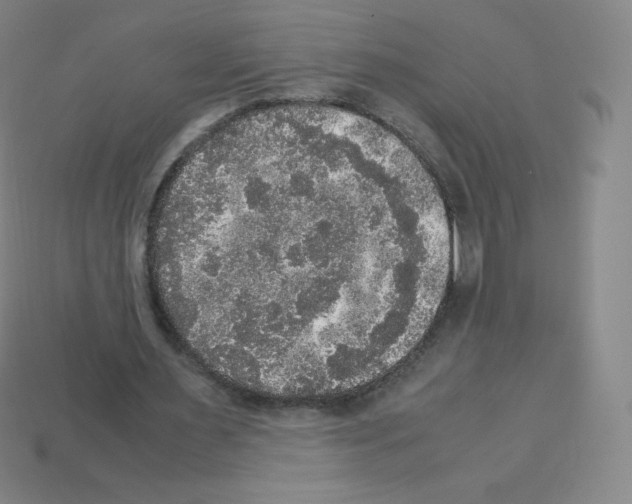 X0000113110483200910091202