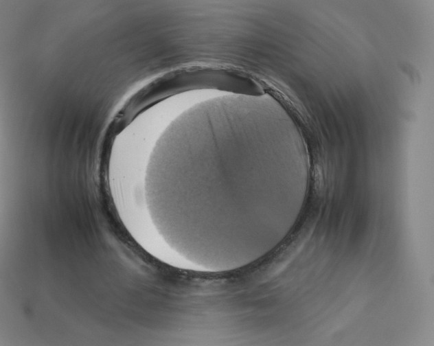 X0000113110484200910091202