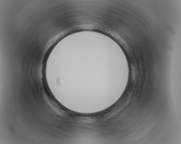 X0000113110486200910091202