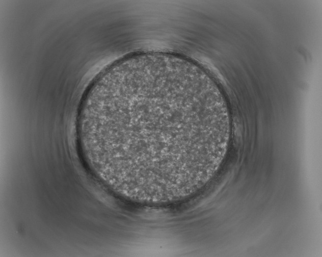 X0000113110487200910091202