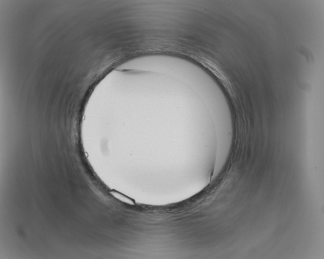 X0000113110489200910091202