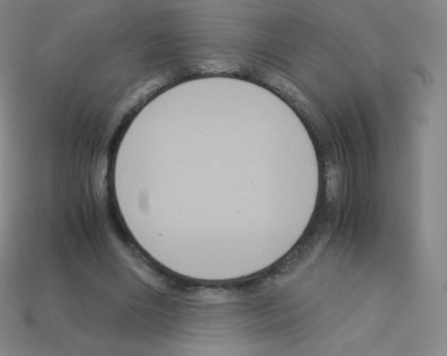 X0000113110490200910091202