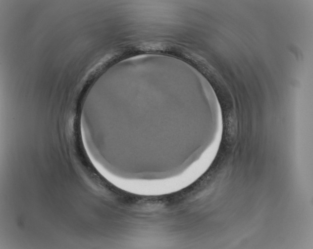 X0000113110491200910091202