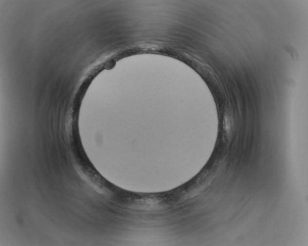 X0000113110492200910091202