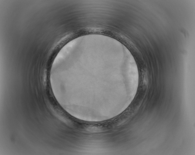 X0000113110494200910091202