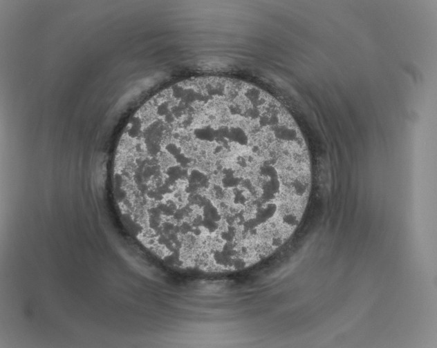 X0000113110495200910091202