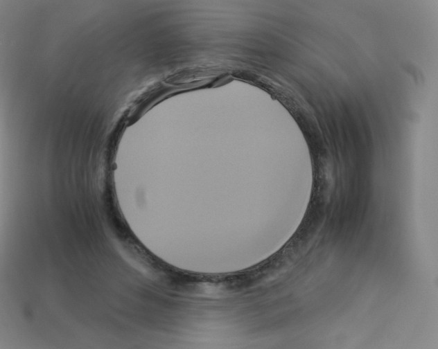 X0000113110496200910091202