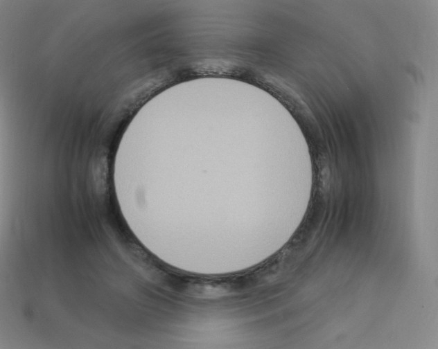 X0000113110498200910091202