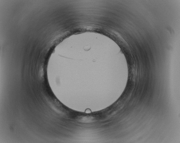 X0000113110500200910091202