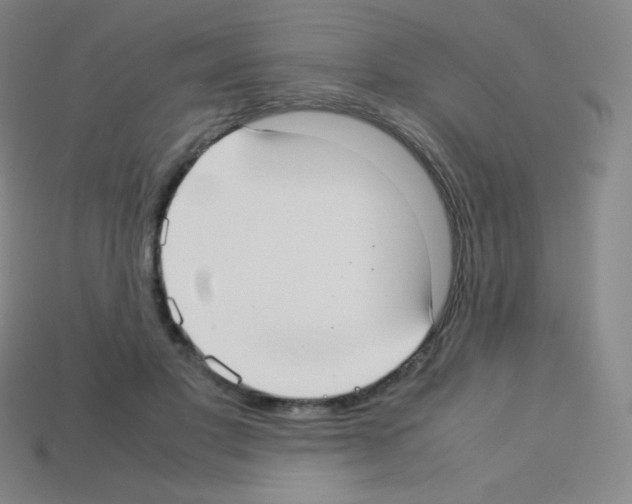 X0000113110501200910091202