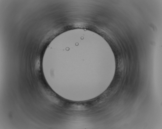 X0000113110502200910091202