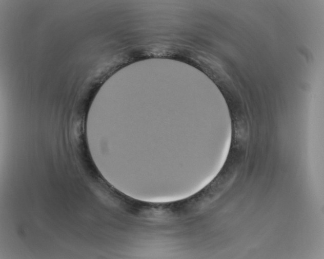 X0000113110503200910091202