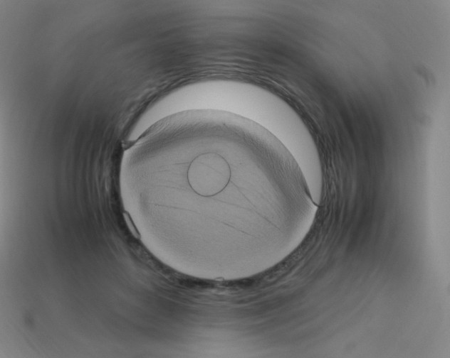 X0000113110504200910091202