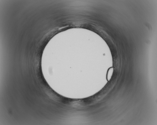 X0000113110505200910091202