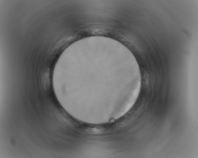 X0000113110506200910091202