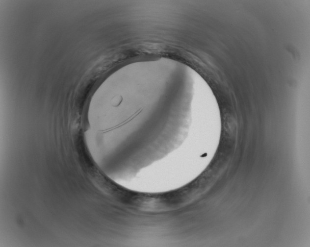 X0000113110507200910091202