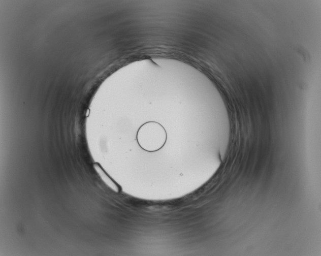 X0000113110508200910091202