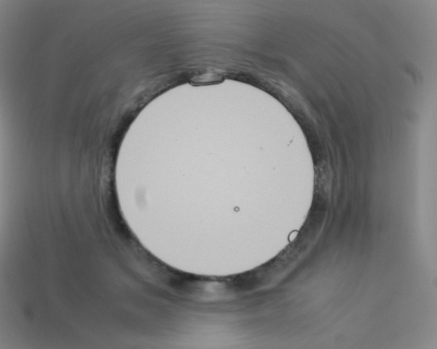X0000113110509200910091202