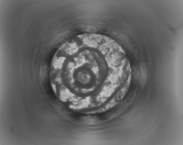 X0000113110511200910091202