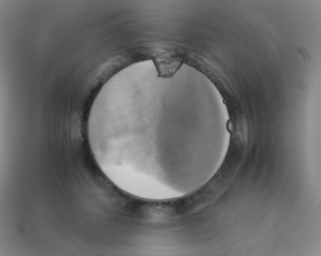 X0000113110512200910091202