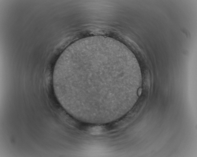 X0000113110513200910091202