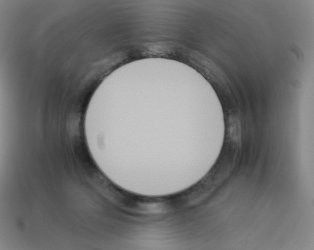 X0000113110514200910091202