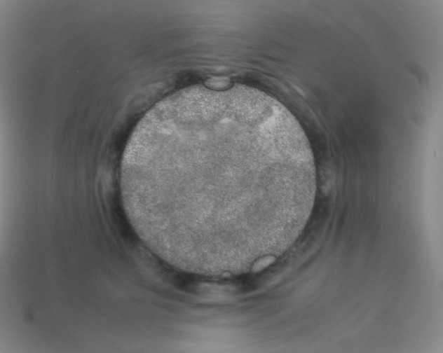 X0000113110515200910091202