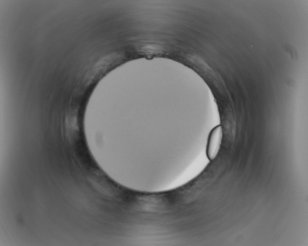 X0000113110516200910091202