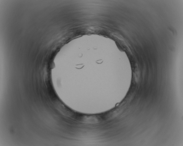 X0000113110520200910091202