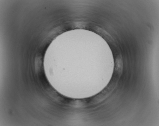 X0000113110522200910091202