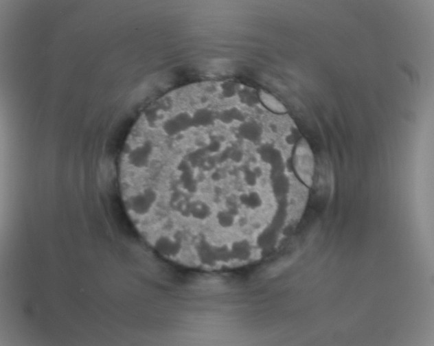 X0000113110523200910091202