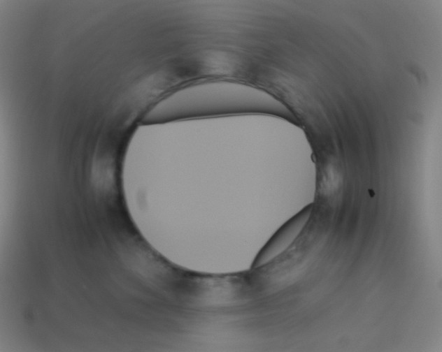 X0000113110524200910091202