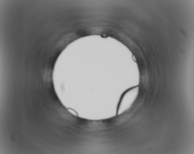 X0000113110525200910091202