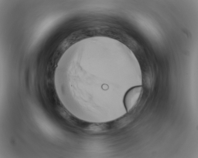 X0000113110526200910091202