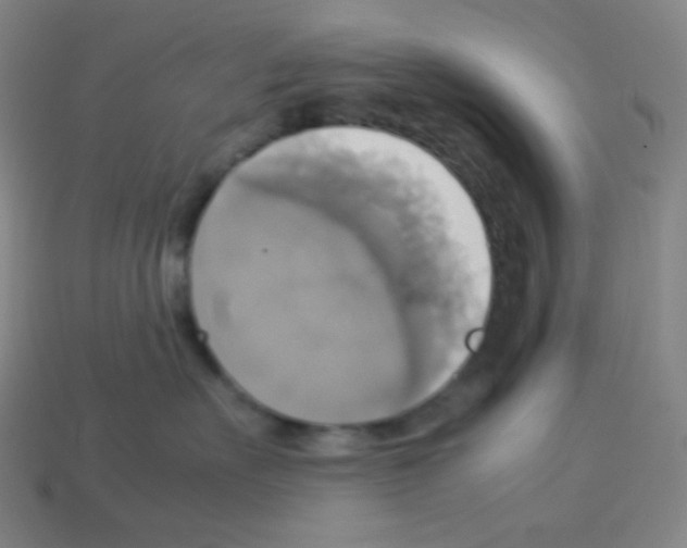 X0000113110527200910091202