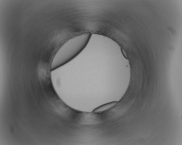 X0000113110528200910091202