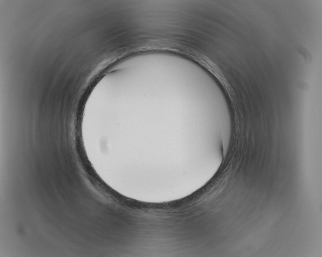 X0000113110530200910091201