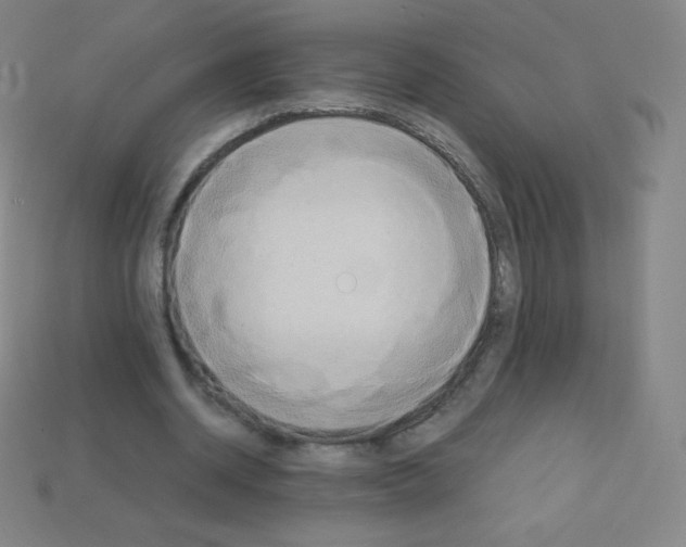 X0000113110534200910091201