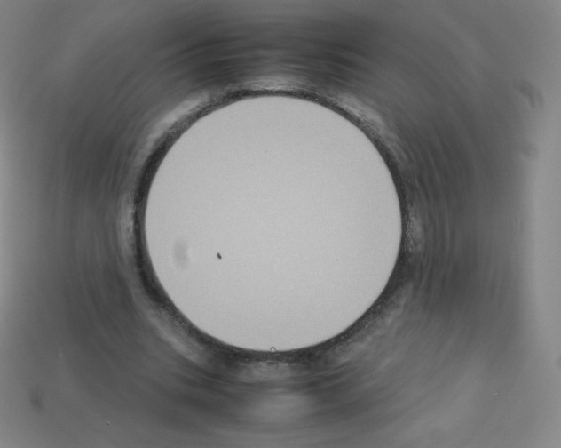 X0000113110535200910091201