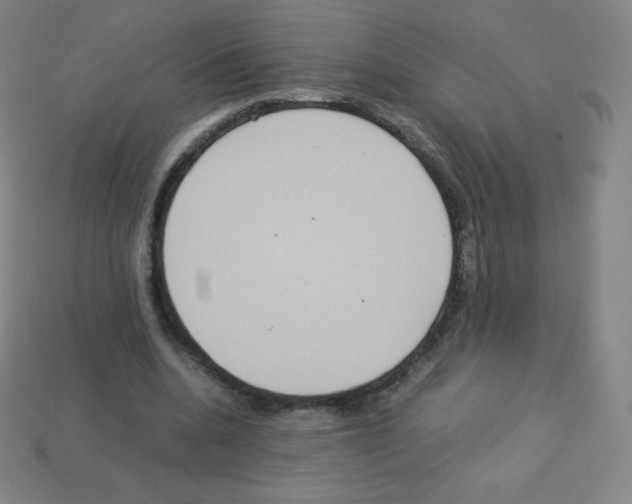 X0000113110536200910091201