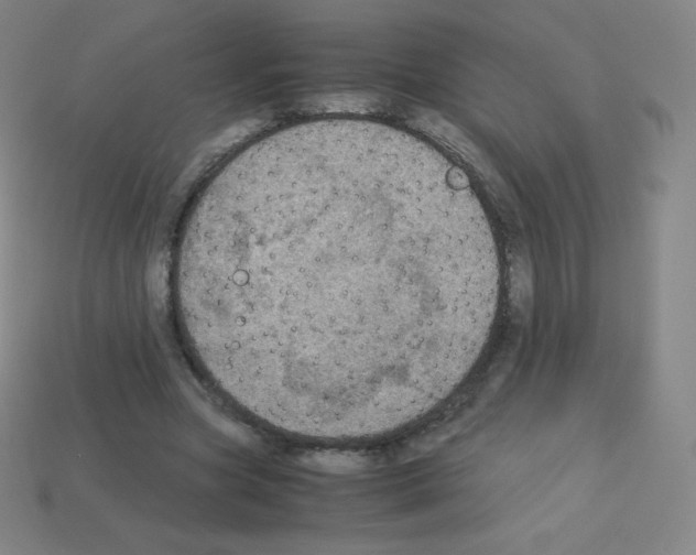 X0000113110537200910091201