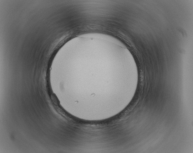 X0000113110538200910091201