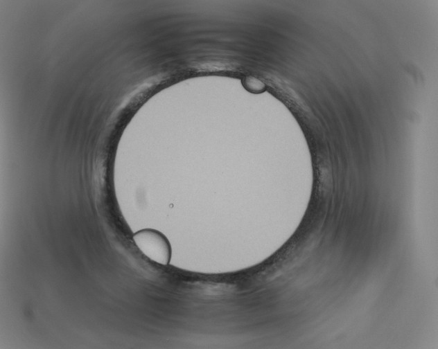 X0000113110539200910091201