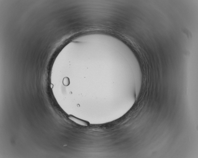 X0000113110540200910091201