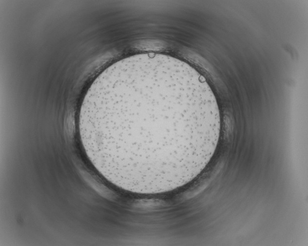 X0000113110541200910091201