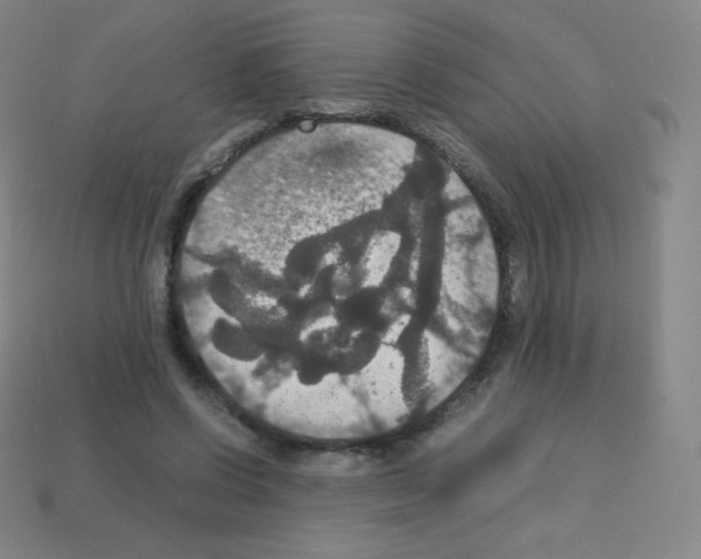 X0000113110542200910091201